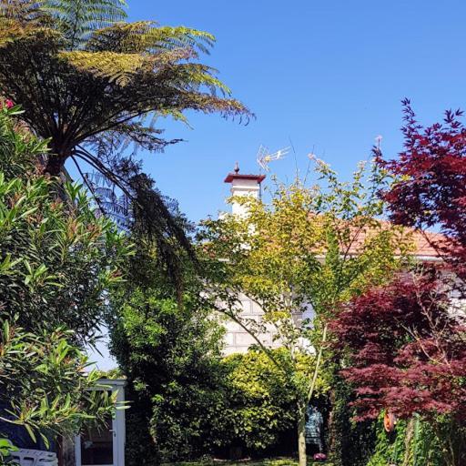 Casa Magda Apartment Vigo Bagian luar foto